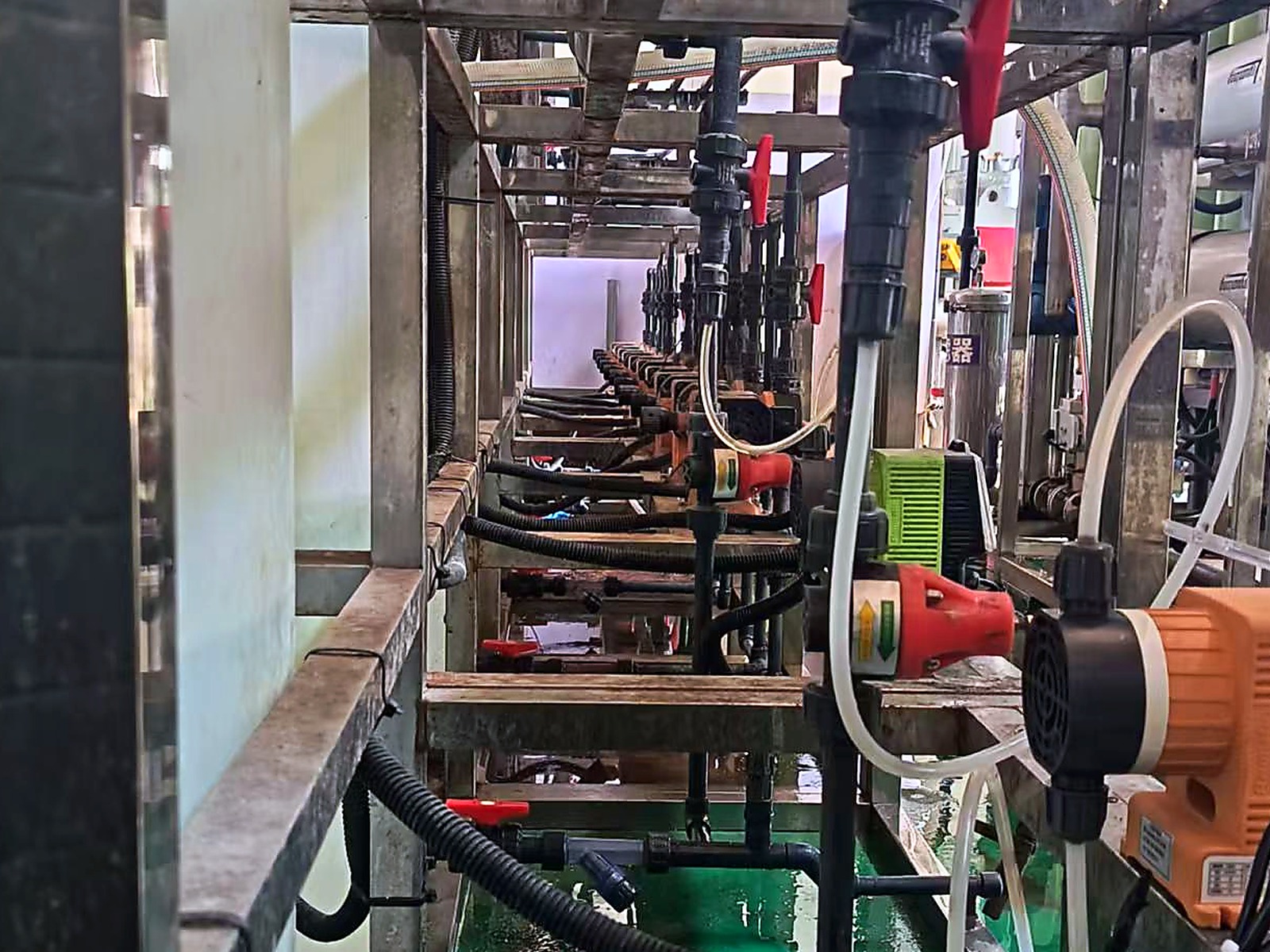Chemical Dosing Assembly
